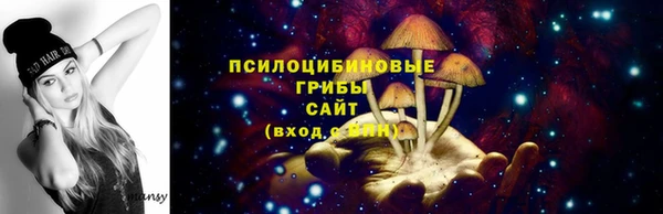 герыч Новодвинск