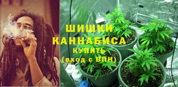 ПСИЛОЦИБИНОВЫЕ ГРИБЫ Абаза
